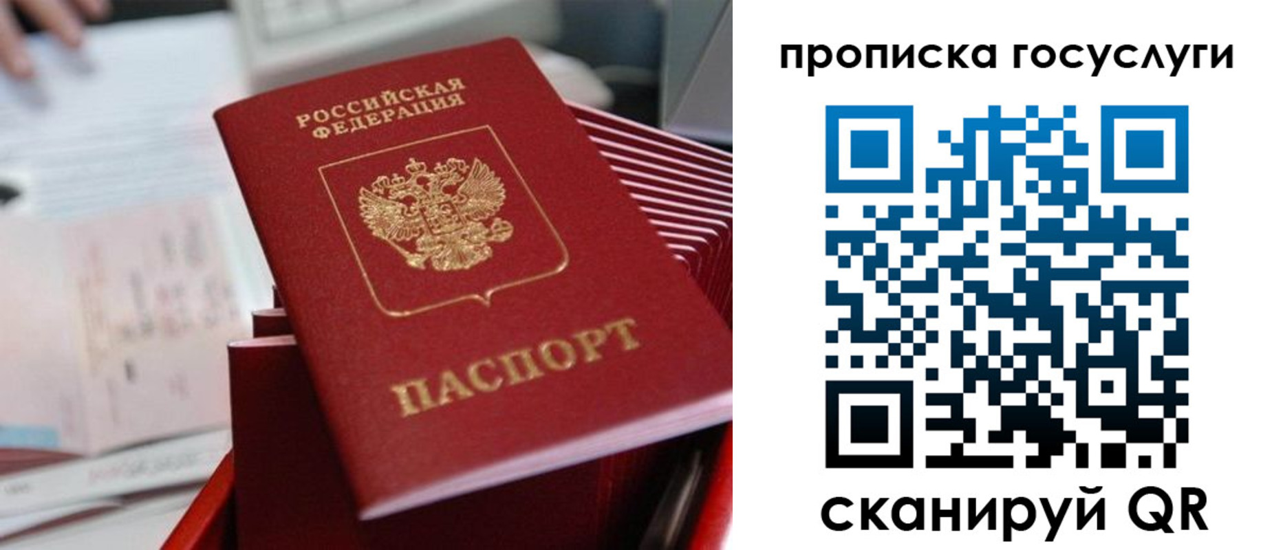 прописка законно в Новокузнецке